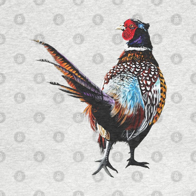 Ardler the Pheasant by IslesArt